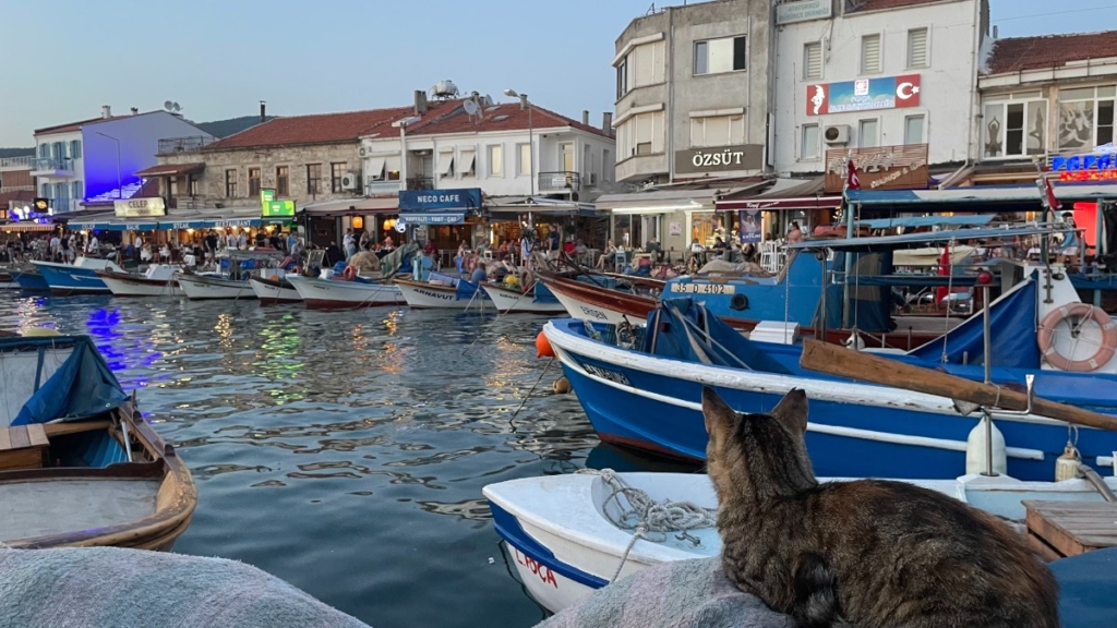 İzmir Foça Tatilcileri İçin Kazdağları’nda Huzurun Adı: İnziva Otel